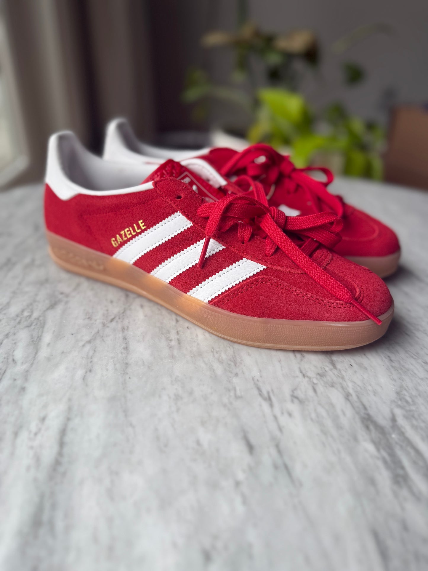 ADIDAS Gazelle Indoor Sneakers - Size Men’s 8.5